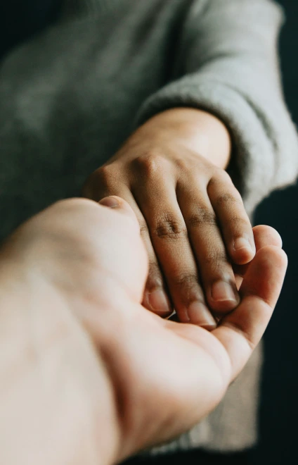 Seegene Social Human Lights Cover Image