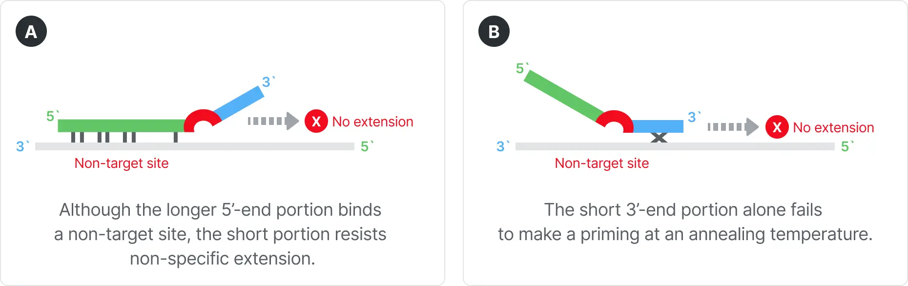 Two diagrams comparing non-specific binding prevention. A: The longer 5′-end portion binds a non-target site, but the short 3′-end portion prevents non-specific extension. B: The short 3′-end portion alone fails to bind at the annealing temperature, preventing extension at non-target sites.