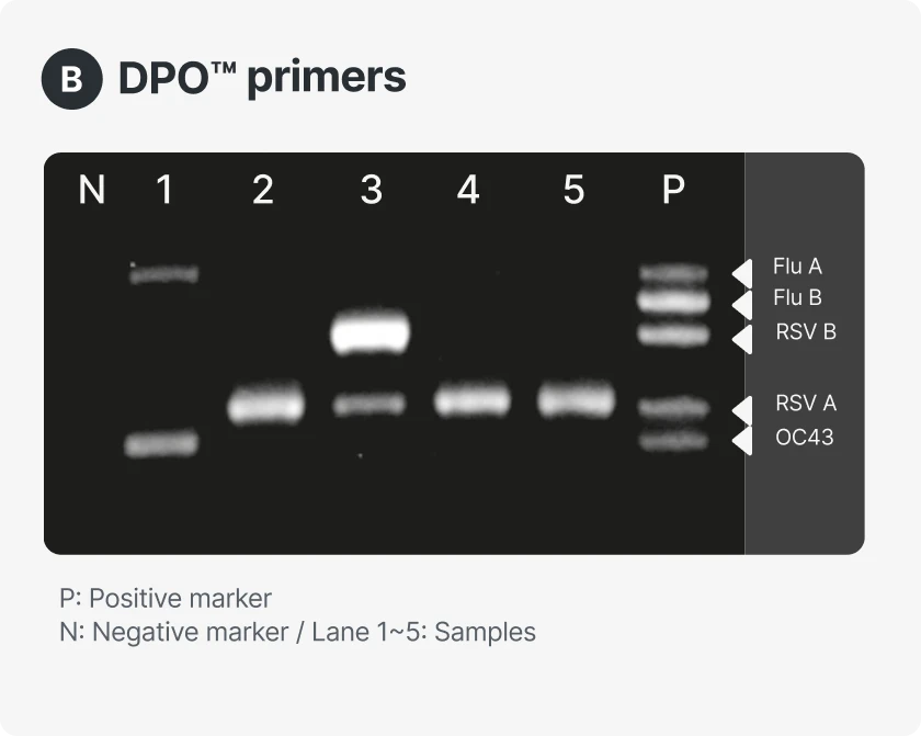 Gel electrophoresis comparison of Conventional primers vs DPO primers. The conventional primer gel (lanes N, 1–5, P) shows multiple non-specific bands. The DPO primer gel (lanes N, 1–5, P) shows clearer and more specific bands corresponding to Flu A, Flu B, RSV B, RSV A, and OC43 targets.